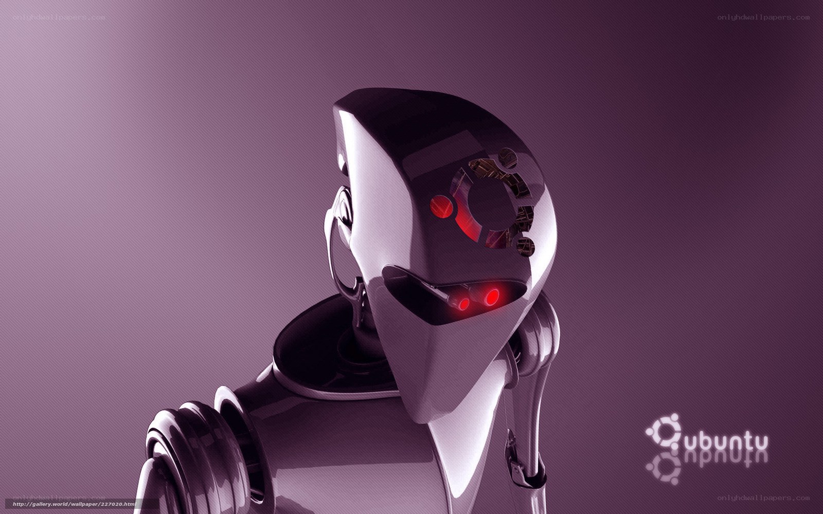 Ubuntu robot head