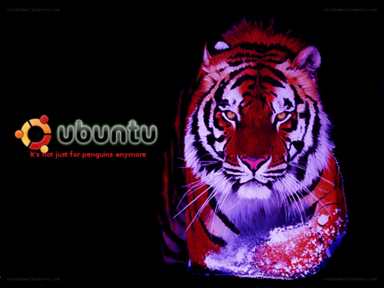 Ubuntu tiger wallpaper
