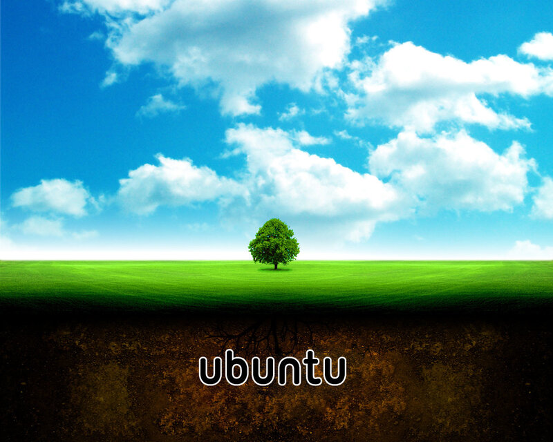Ubuntu tree landscape