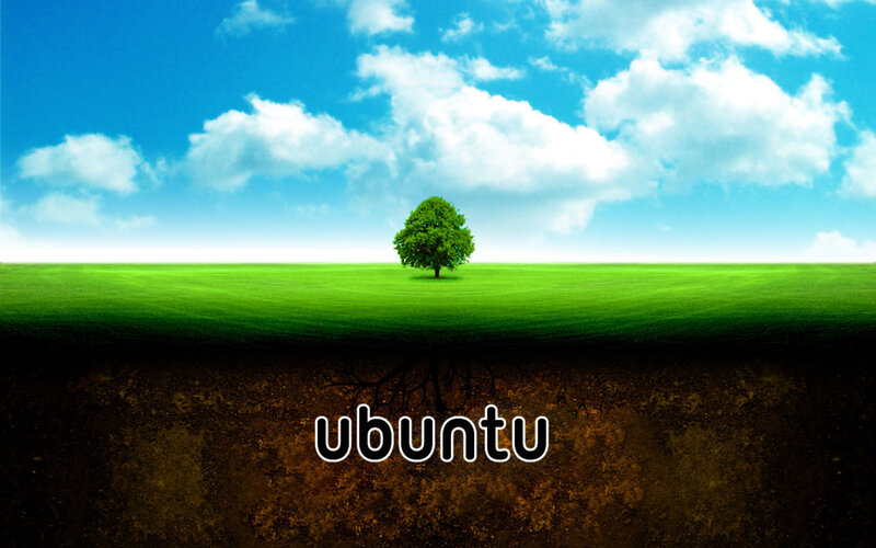 Ubuntu tree landscape