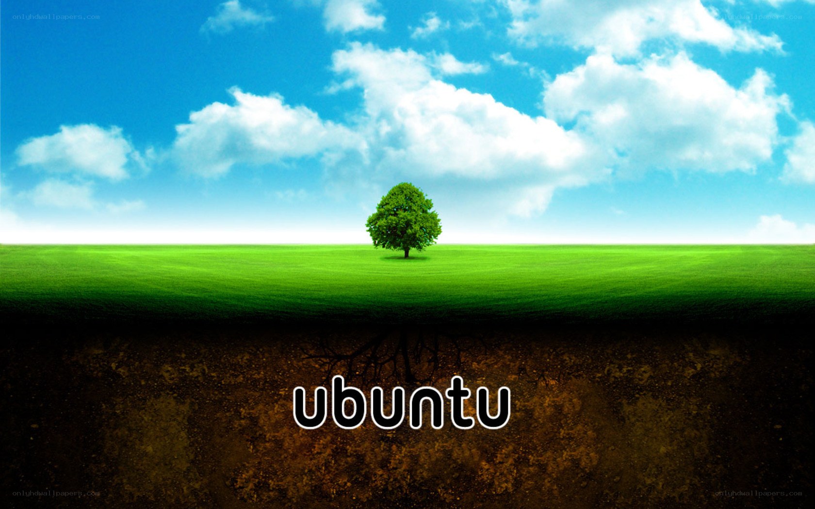 Ubuntu tree landscape