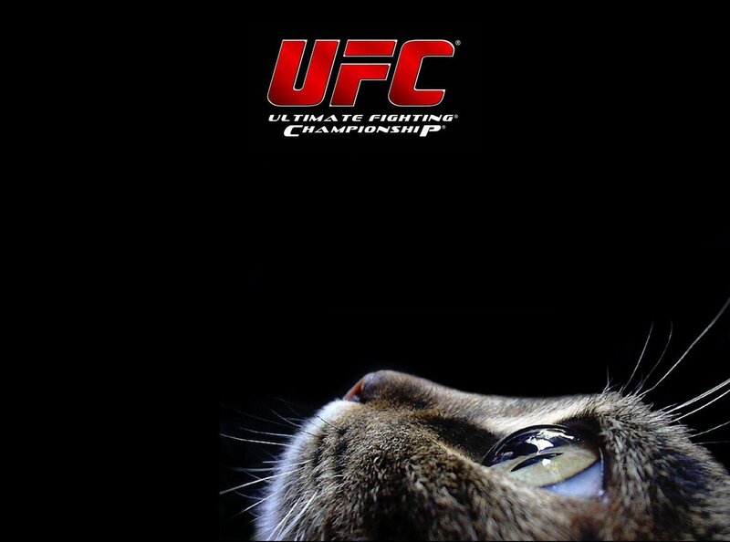 UFC logo with cat eye