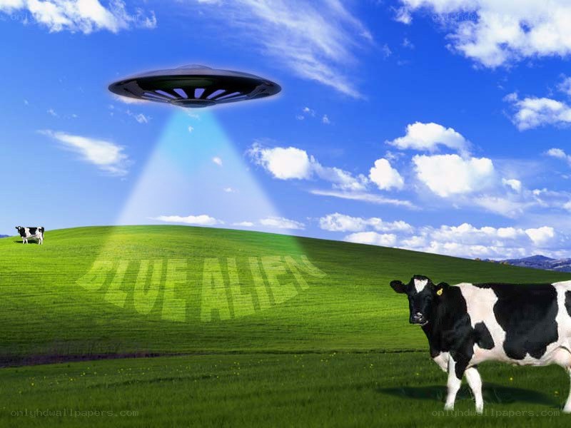 UFO abducting a cow
