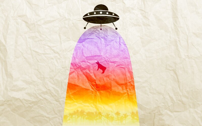 UFO abducting a dog