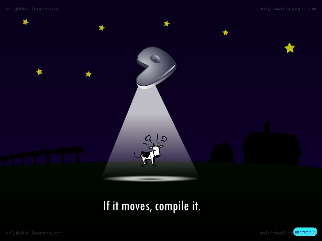 UFO abducts a cow