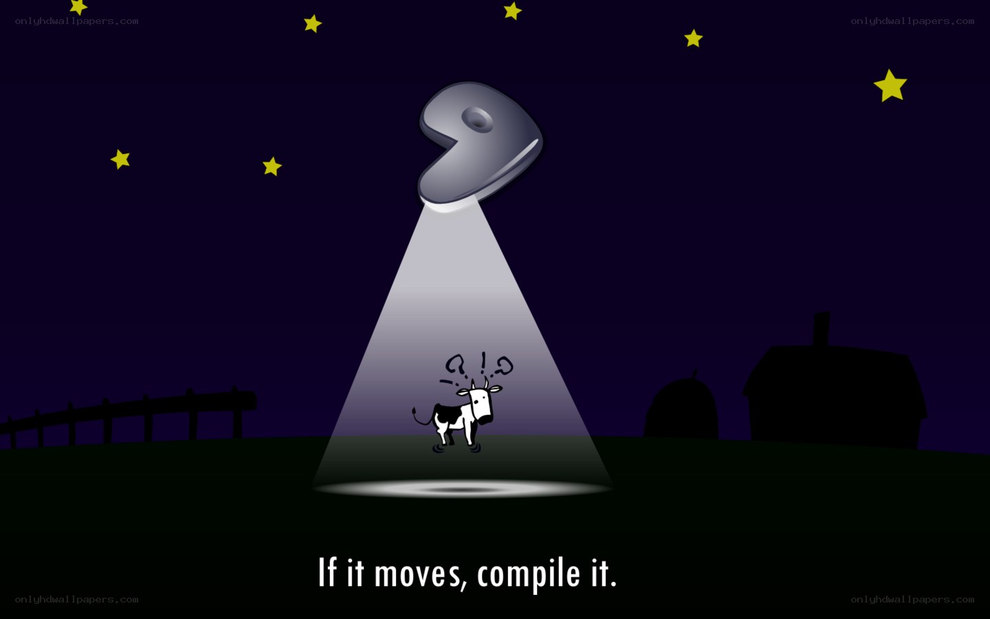 UFO abducts a cow