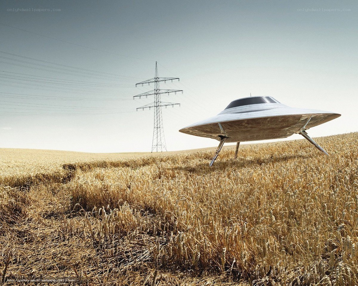 UFO in a wheat field