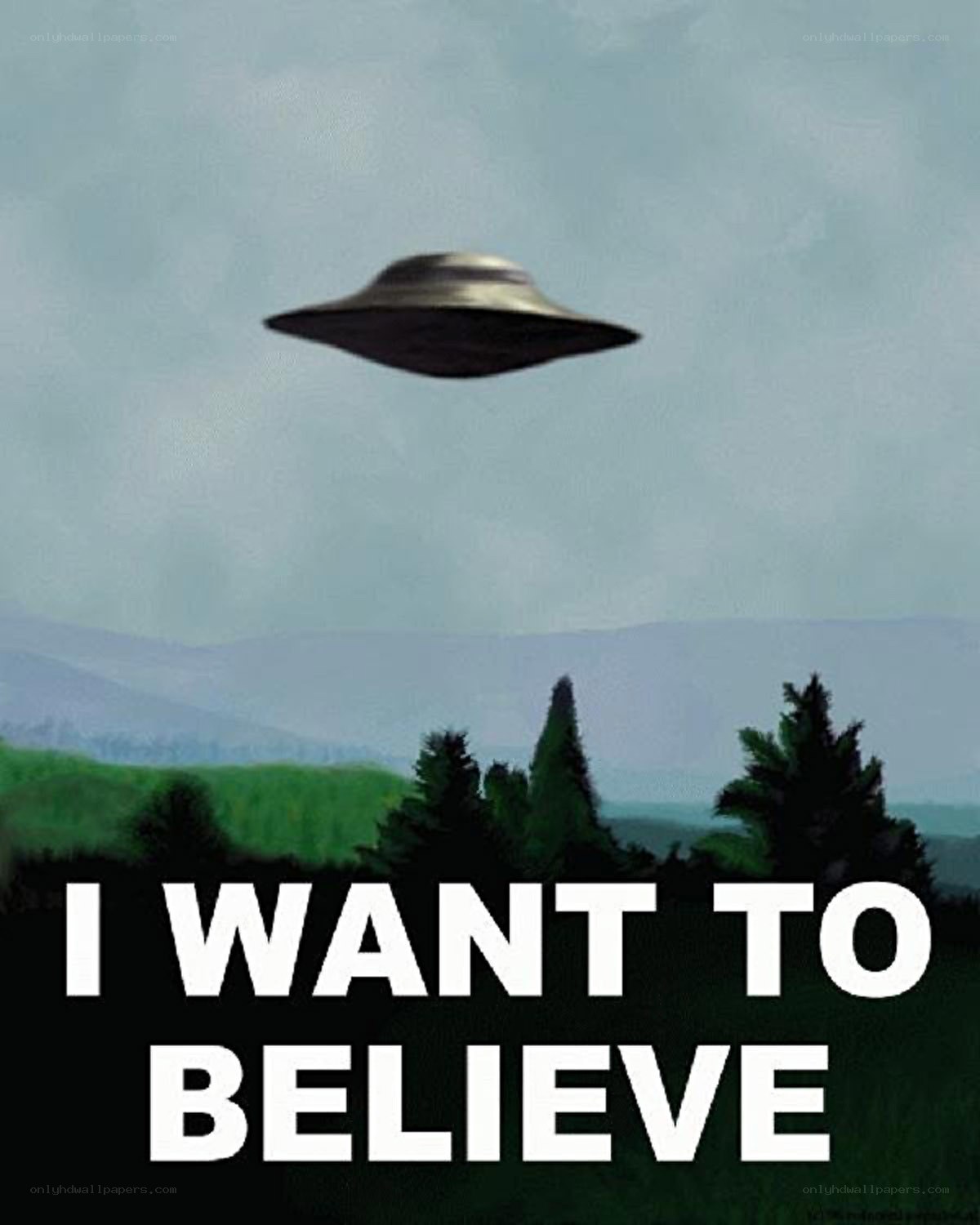 UFO over a forest