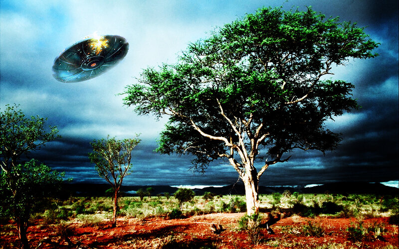 UFO over African savanna