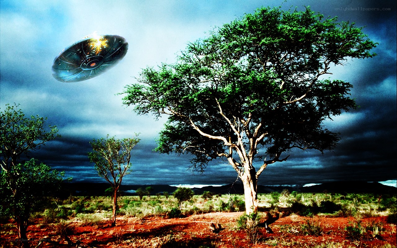 UFO over African savanna