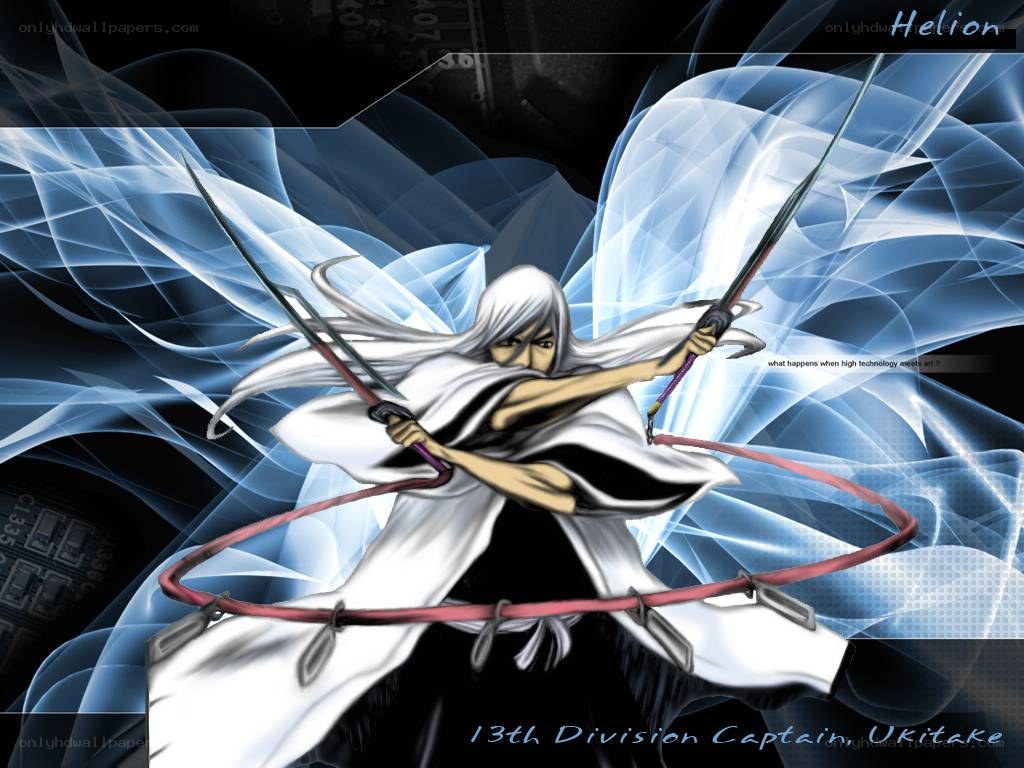 Ukitake with dual swords