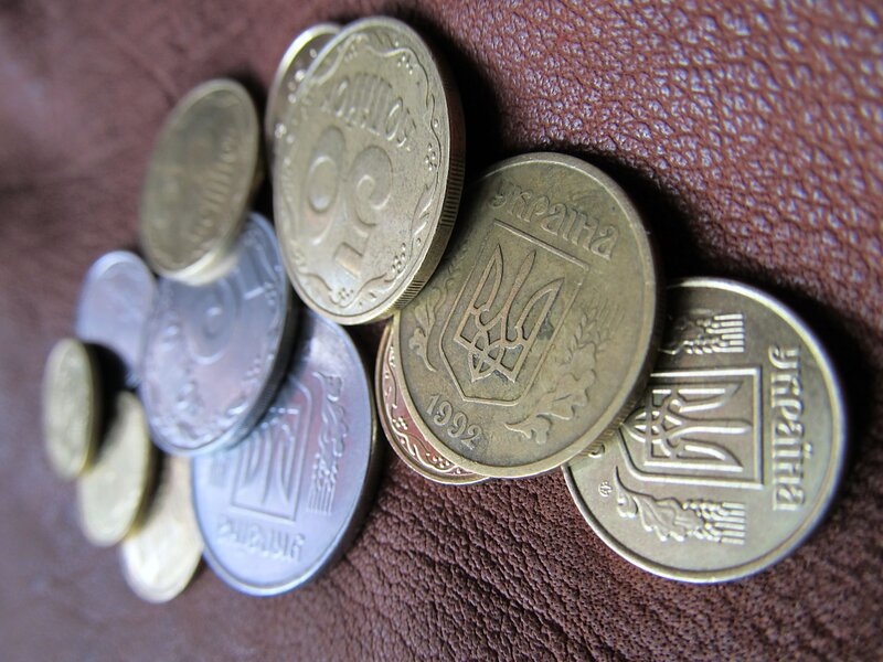 Ukrainian Coins on Leather