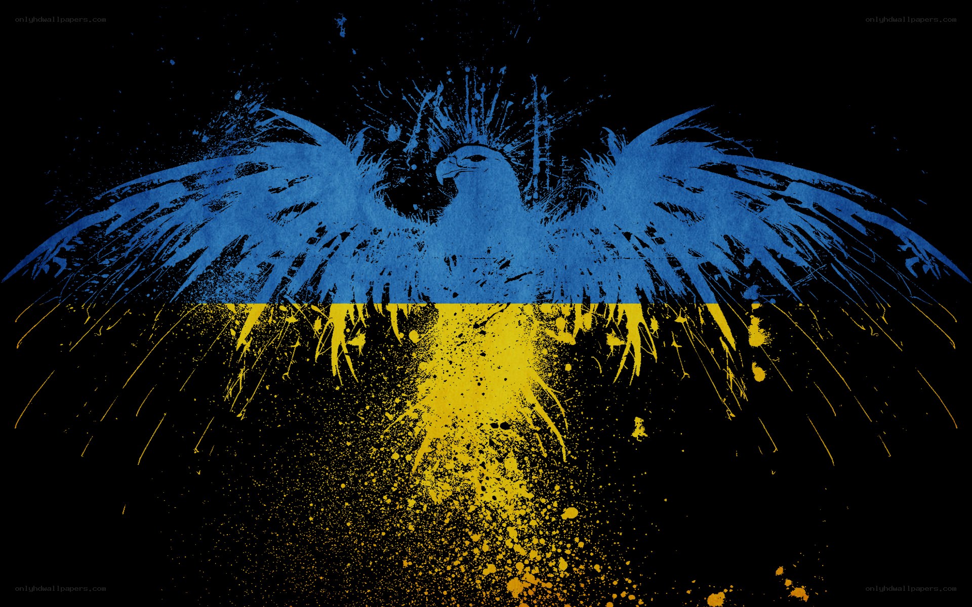 Ukrainian eagle with flag colors
