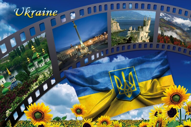 Ukrainian Flag and Sunflowers
