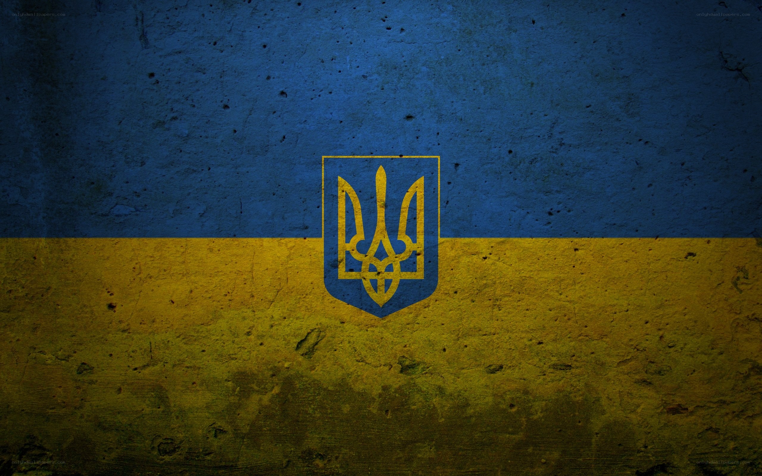 Ukrainian flag on textured wall