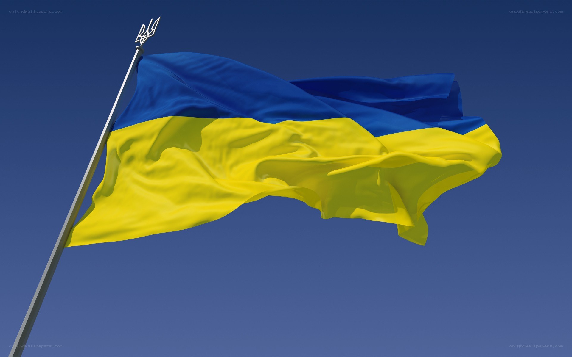Ukrainian flag waving in the wind