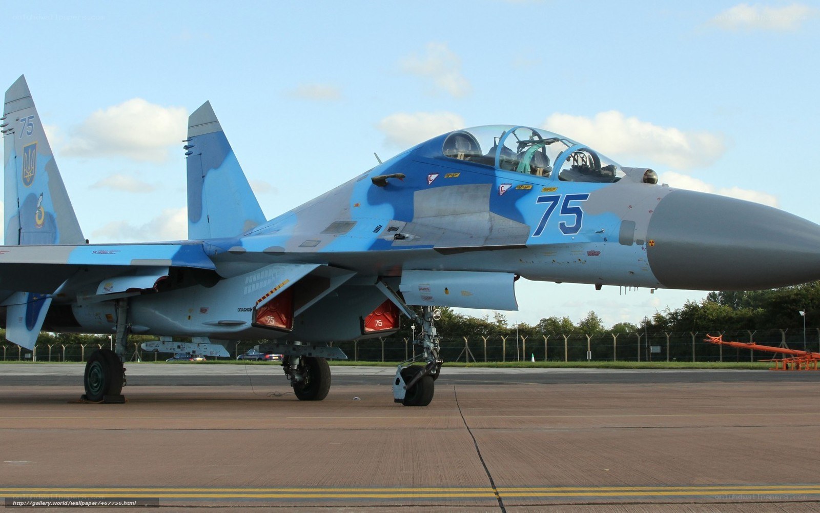 Ukrainian Su-27 fighter jet