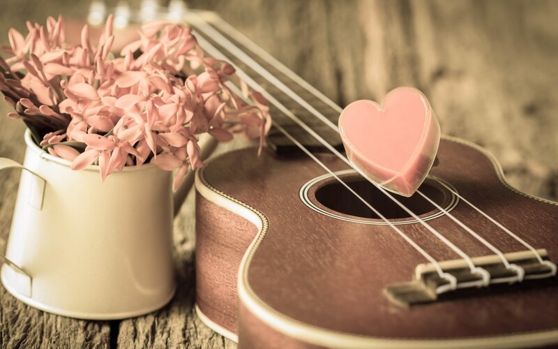 Ukulele with Flowers — Brown