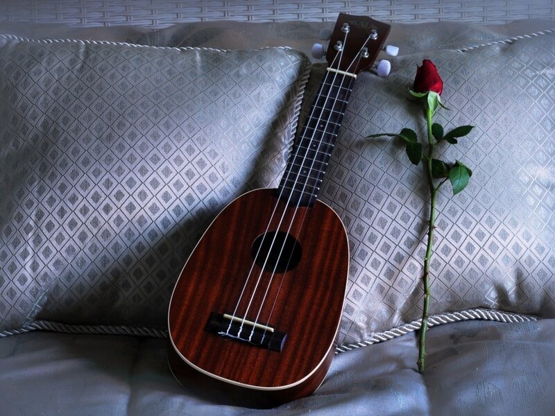 Ukulele with Rose