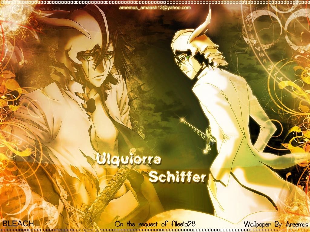 Ulquiorra and Schiffer from Bleach