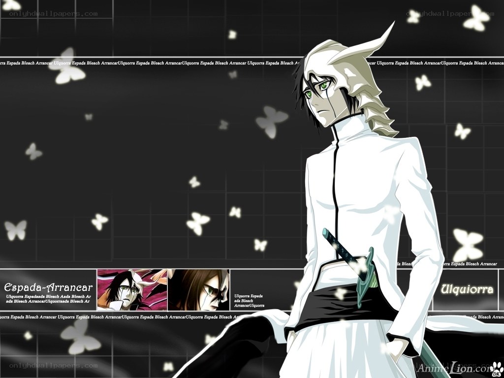 Ulquiorra Cifer from Bleach