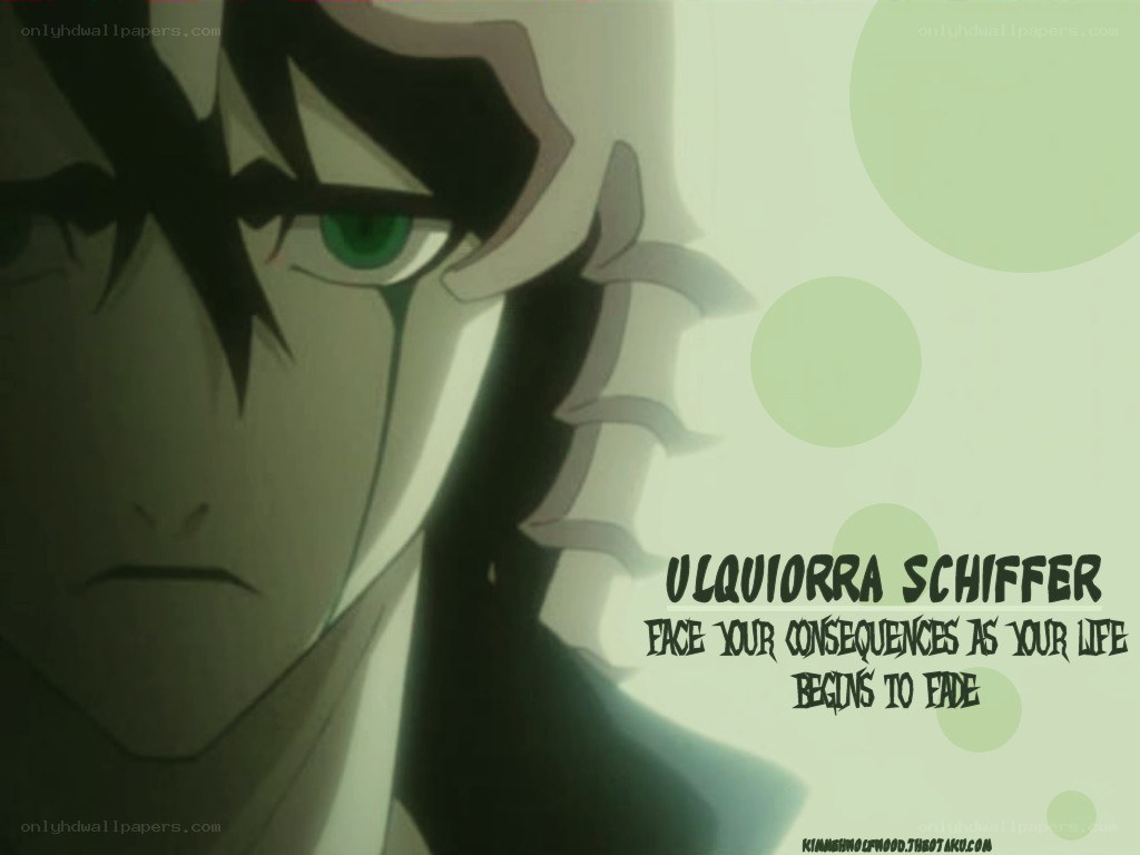 Ulquiorra Schiffer quote
