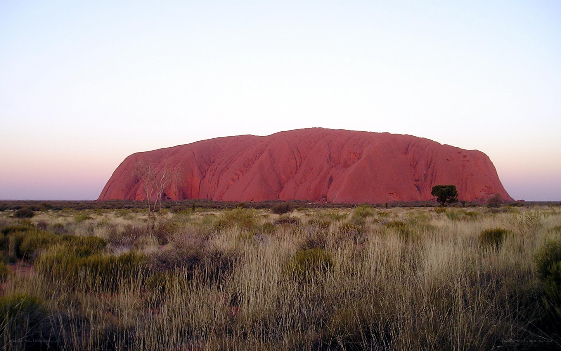 Uluru at dawn