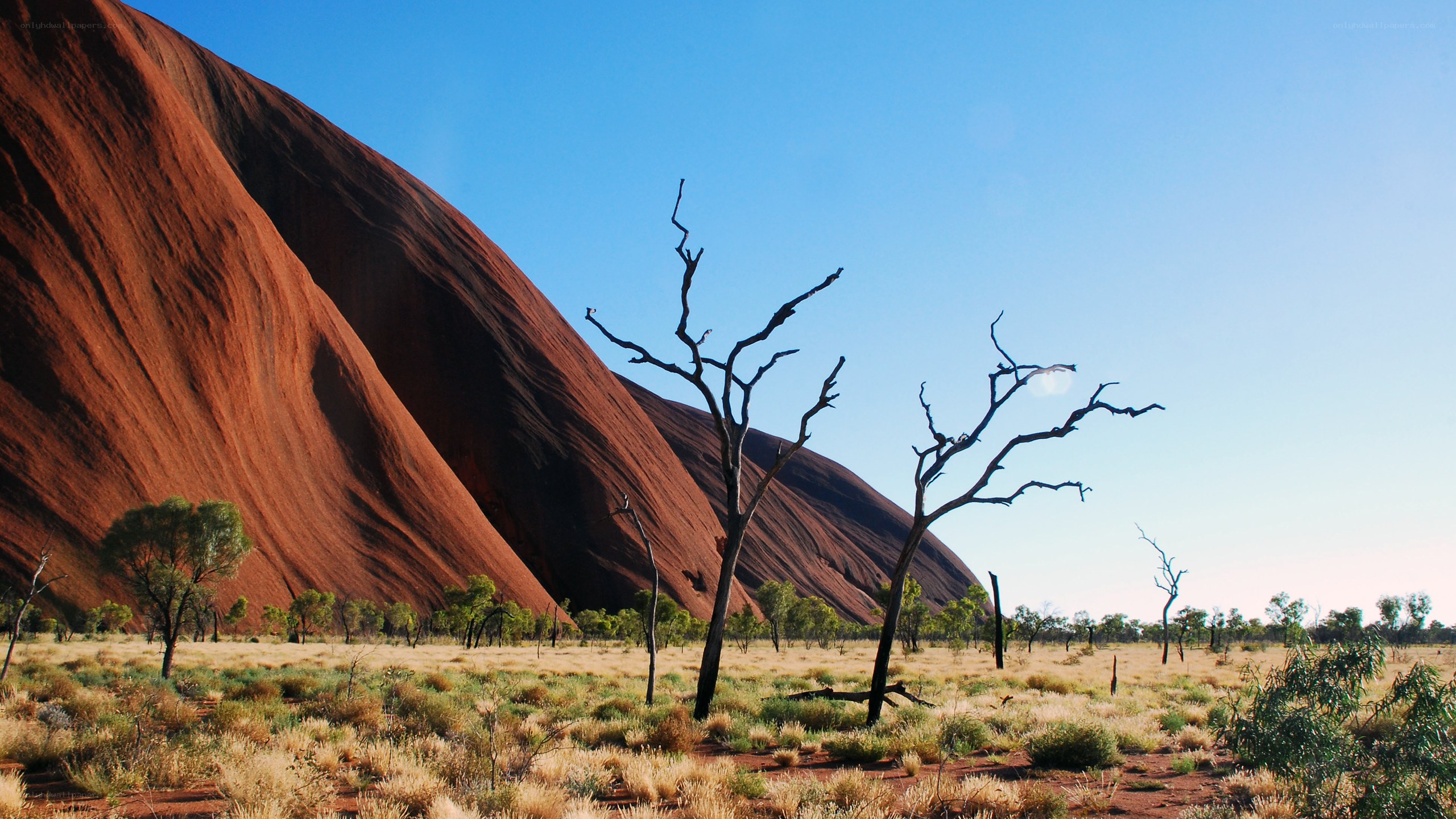 Uluru at sunrise