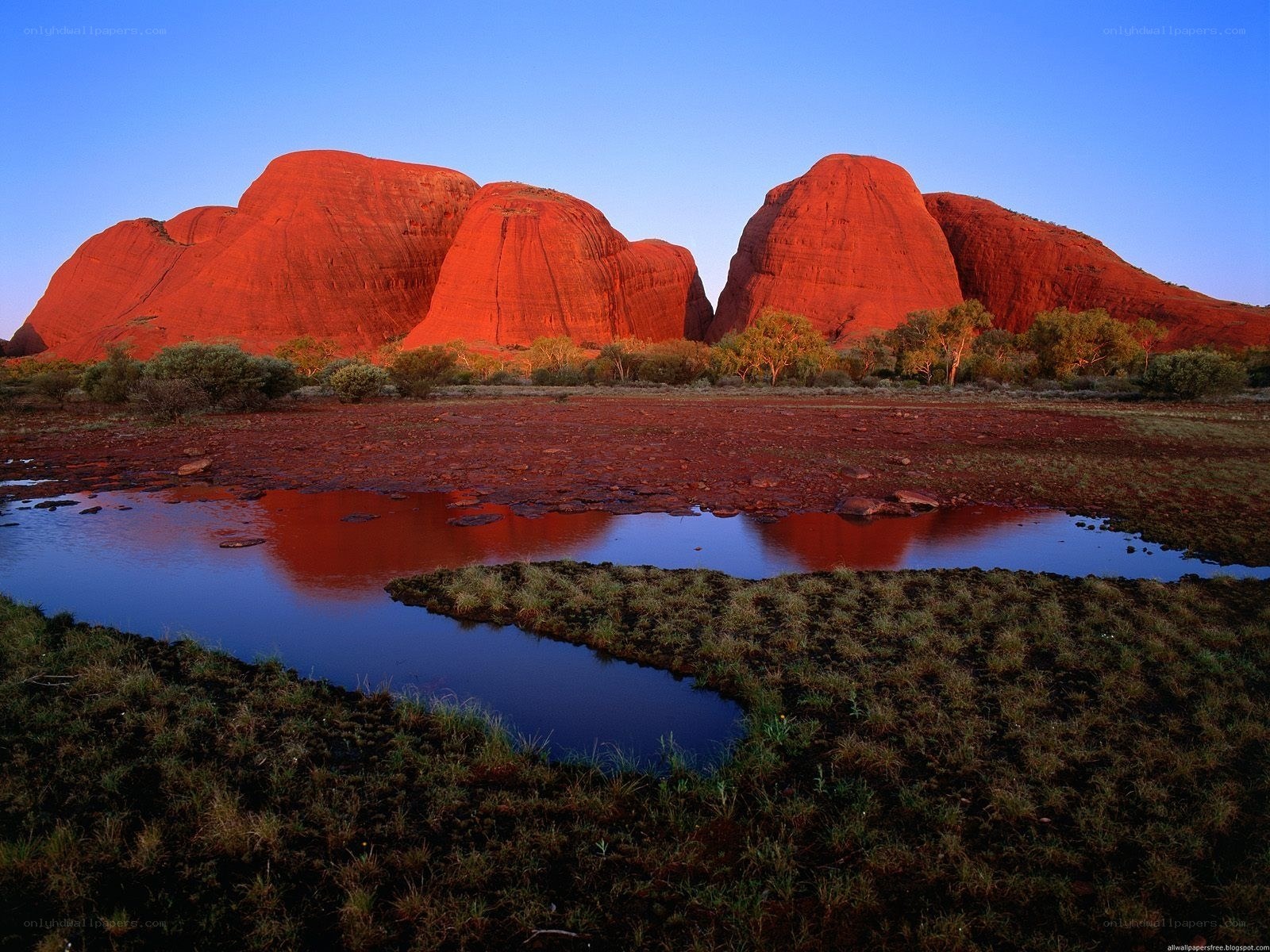 Uluru at sunrise with water reflection