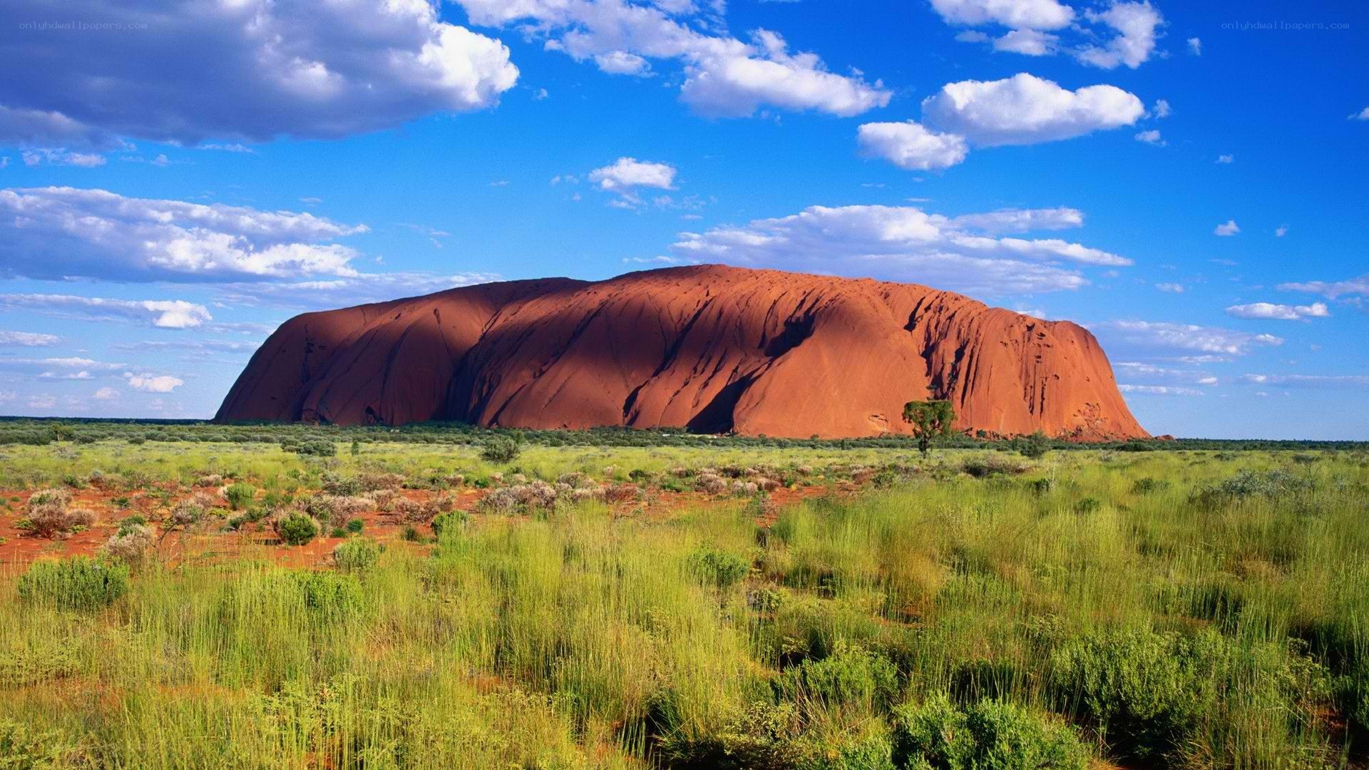 Uluru in the Australian Outback