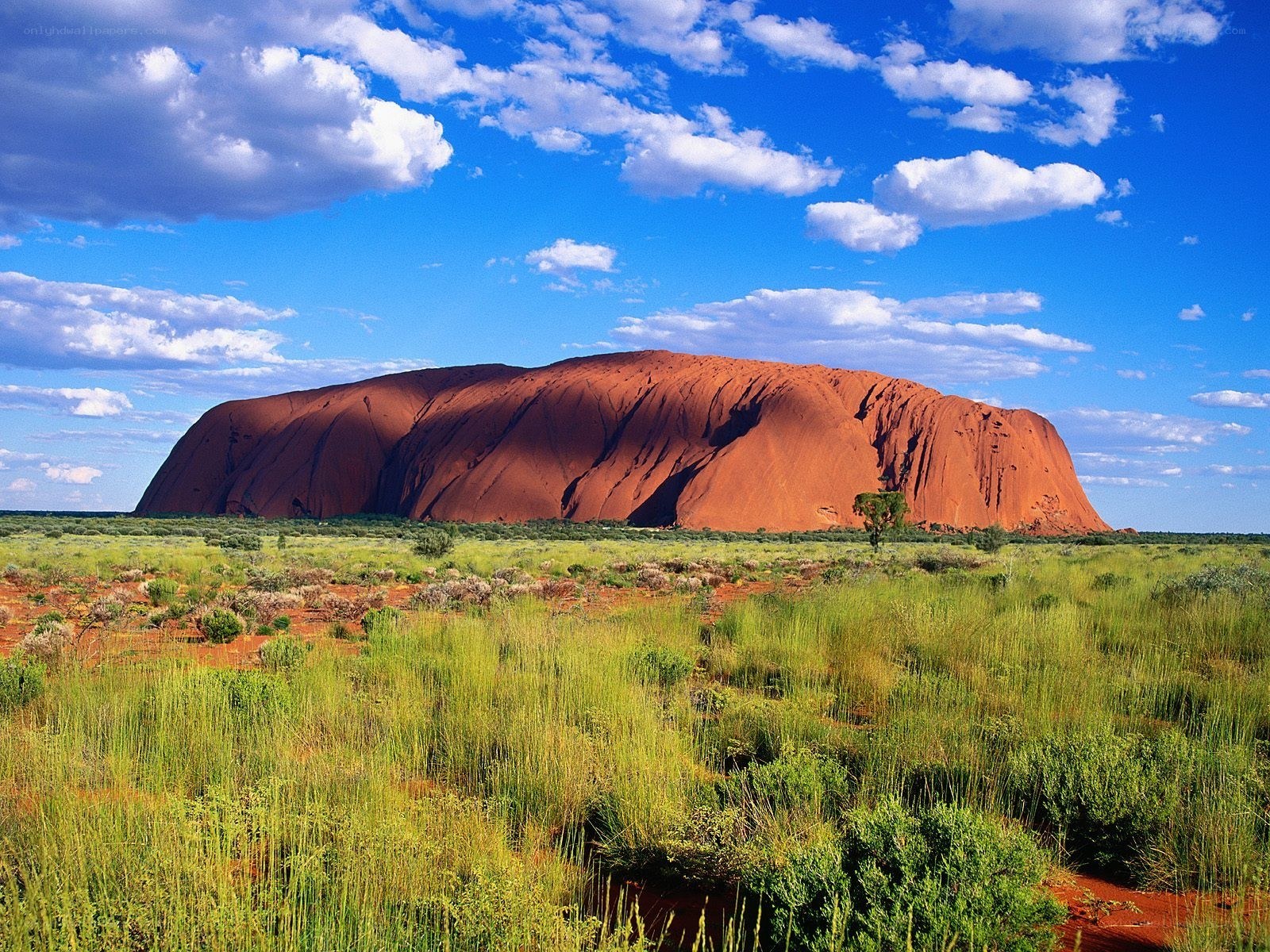 Uluru rock formation