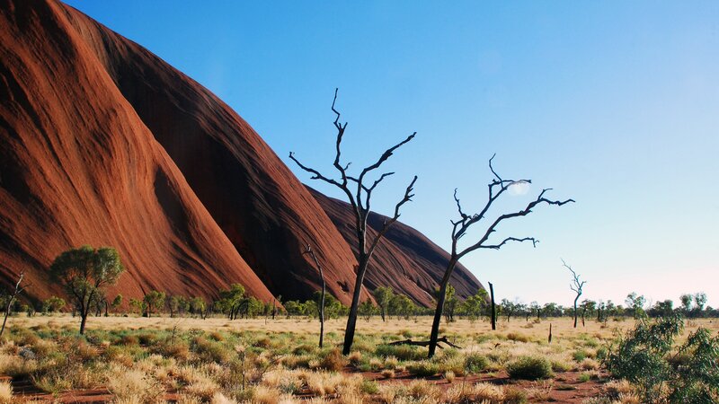 Uluru Rock Formation — Red, Serene, Afternoon, Photograph, Dry Trees, Desert Landscape