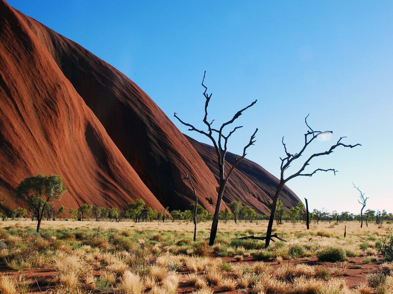 Uluru Rock Formation — Red, Serene, Afternoon, Photograph, Dry Trees, Grassland, Sky