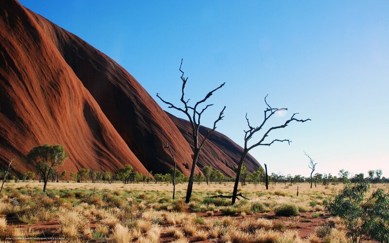 Uluru Rock Formation — Red, Serene, Afternoon, Photograph, Dry Trees, Grassland