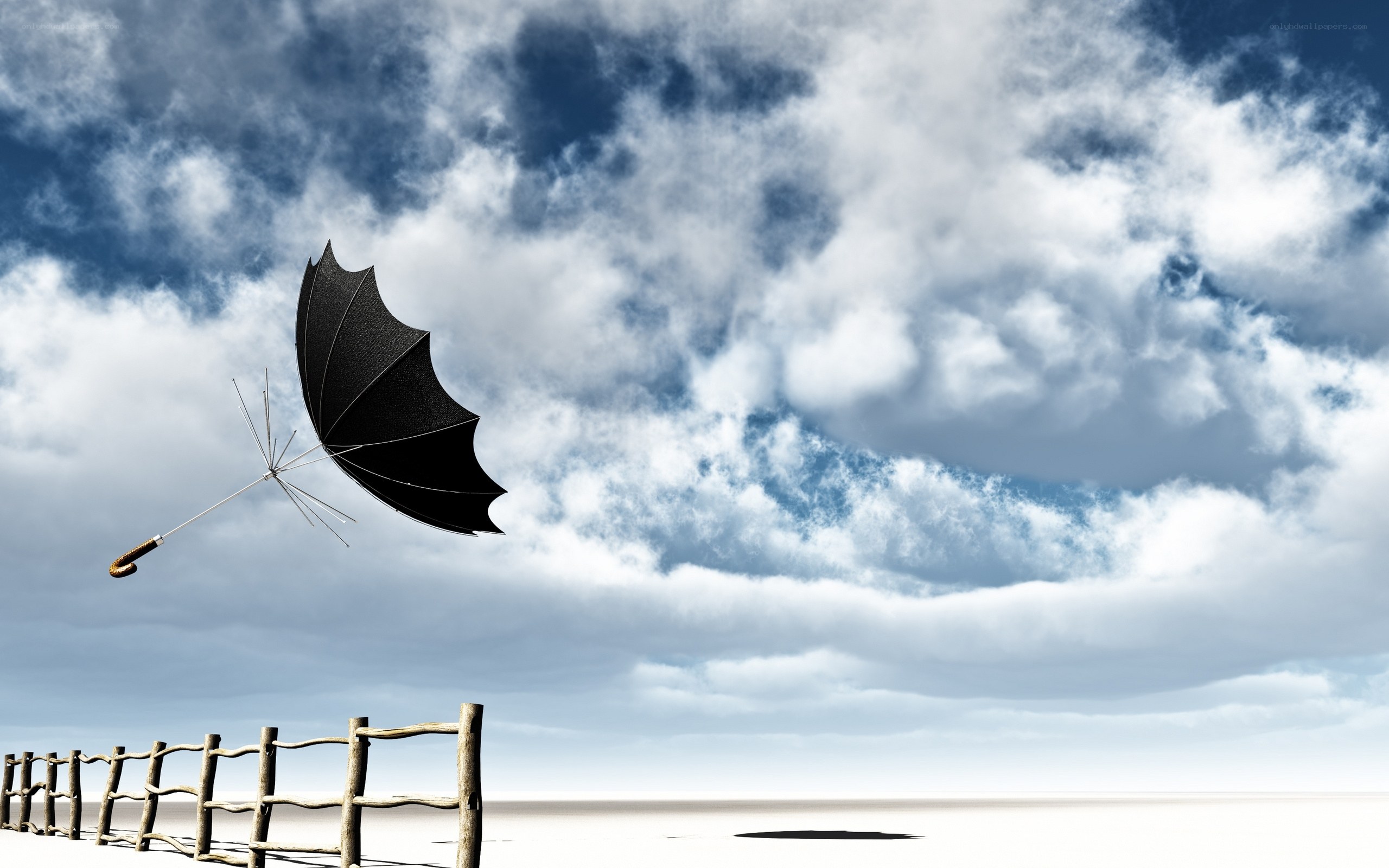 Umbrella flying in the sky