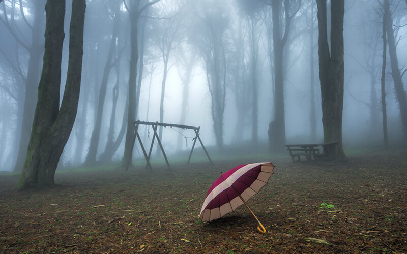 Umbrella in Foggy Forest