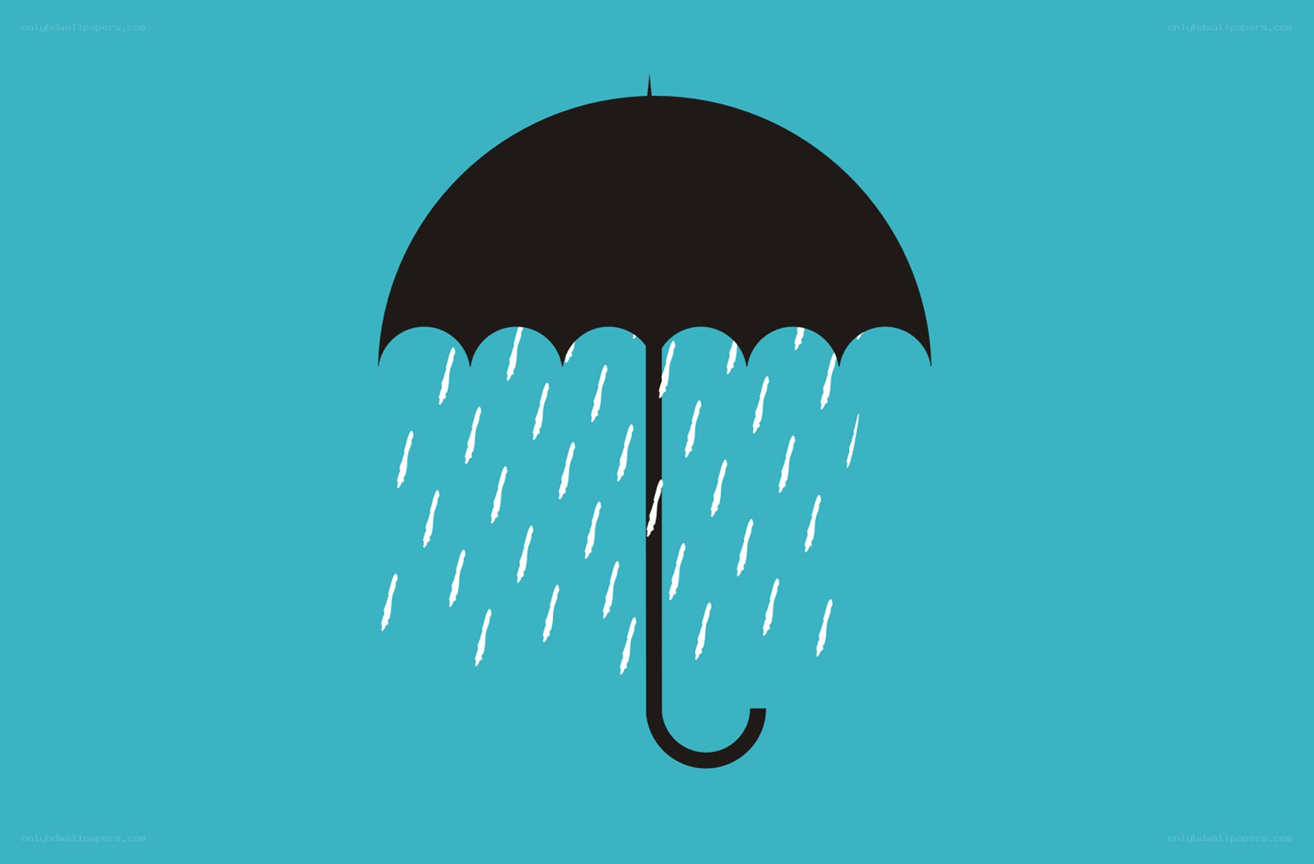 umbrella in the rain