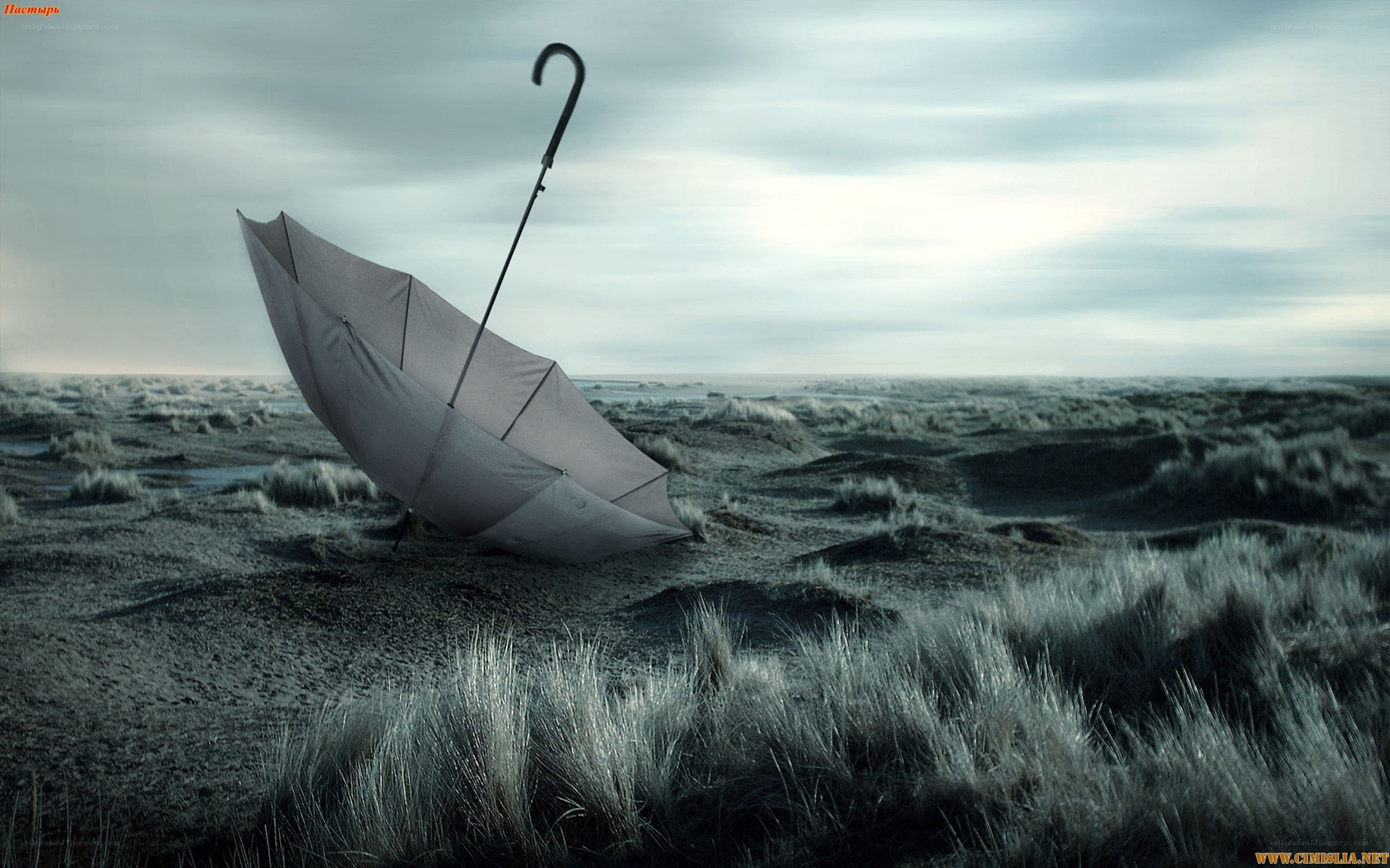 Umbrella on a desolate beach