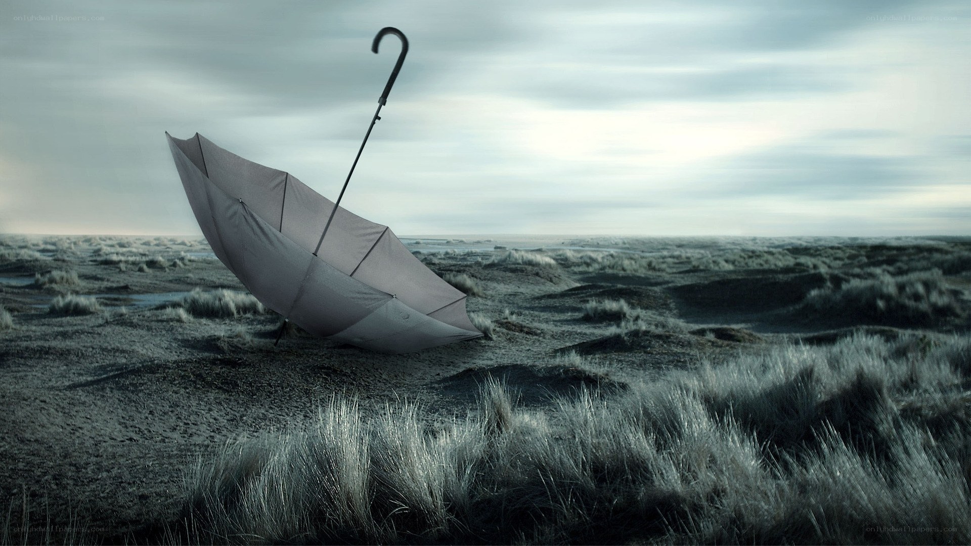 Umbrella on a desolate beach