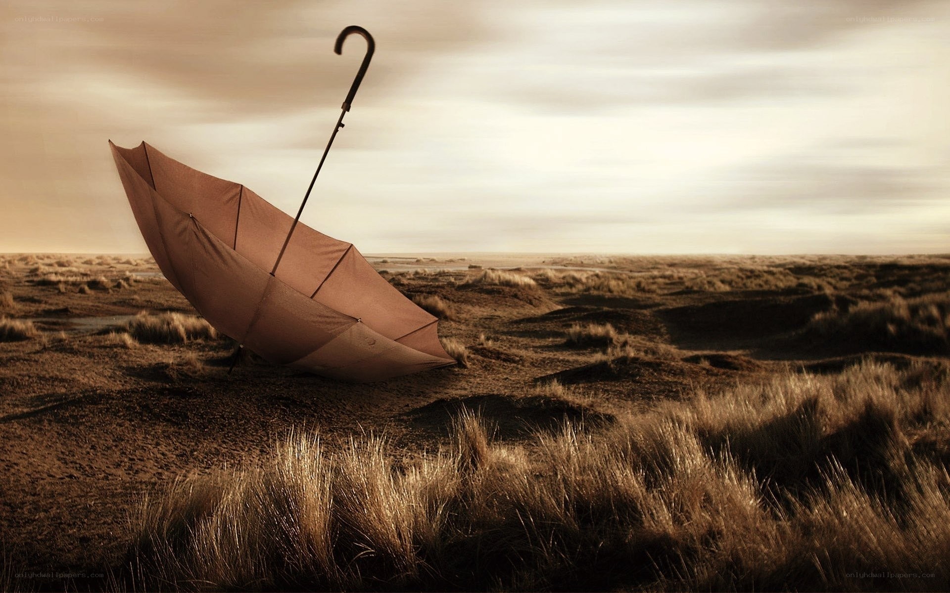 Umbrella on a sandy dune