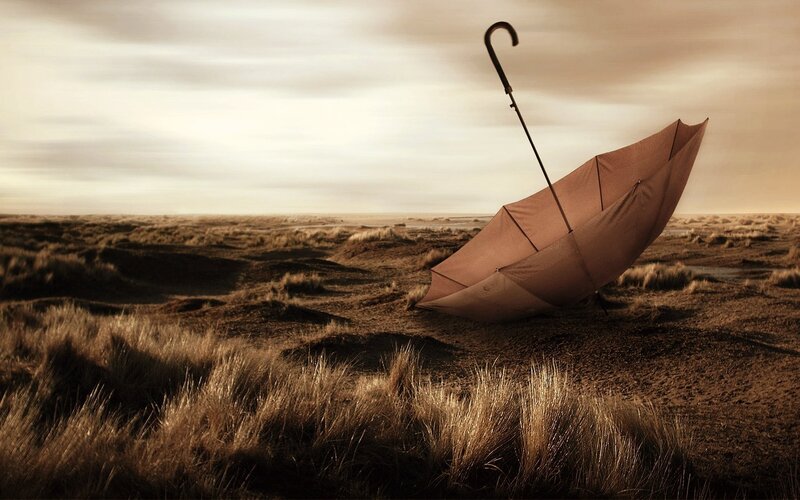 Umbrella on Dunes — Brown