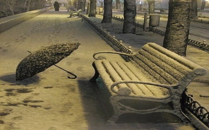 Umbrella on Snow-covered Ground