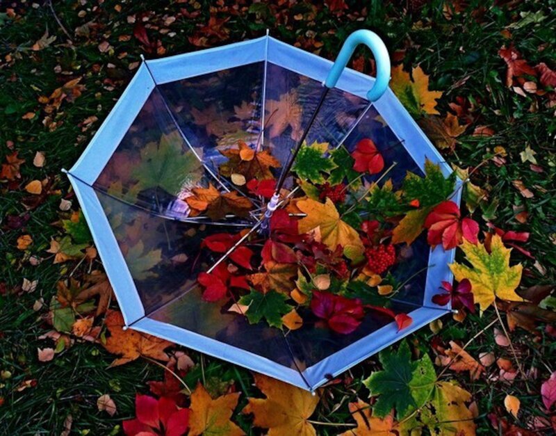 Umbrella with Autumn Leaves