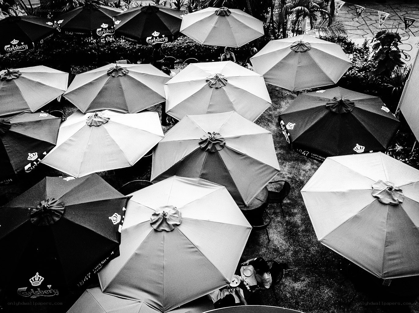 Umbrellas at outdoor cafe