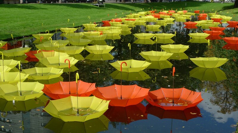 Umbrellas Floating in Pond