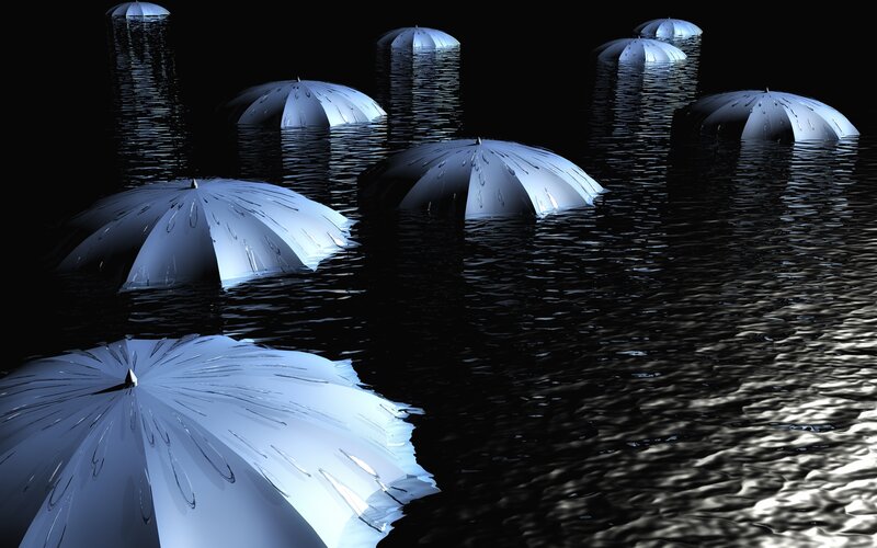 Umbrellas floating in water