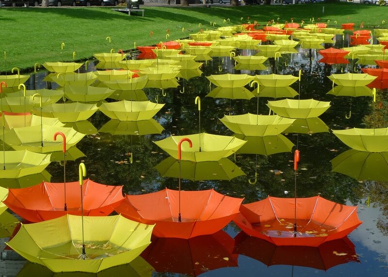 Umbrellas Floating in Water — Yellow