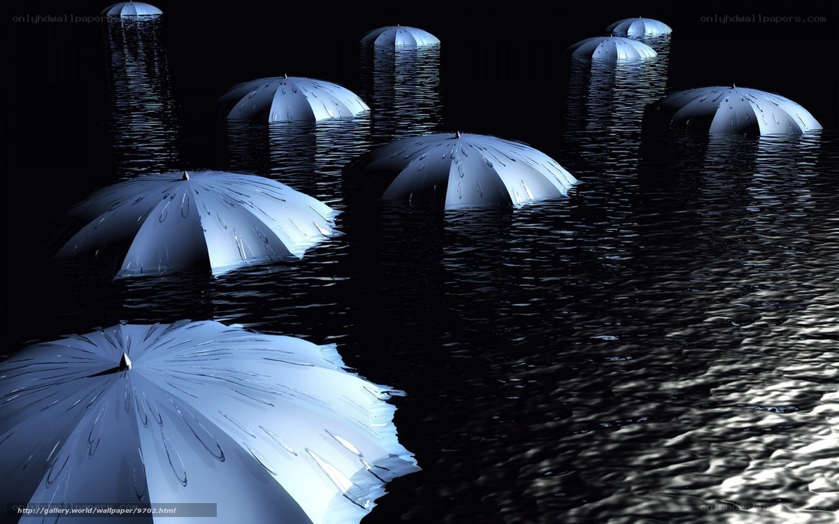 Umbrellas in dark water