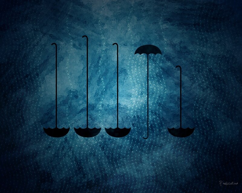 umbrellas in the rain