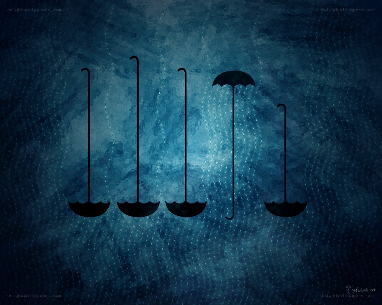 umbrellas in the rain